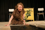 Theatre Review – The Garden