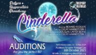 3d Theatricals’ Cinderella Call Out