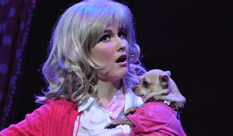 Lydia Carrington in Legally Blonde. Photo: the Bohemians.