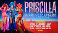 Priscilla Queen of the Desert The Musical_Thumb